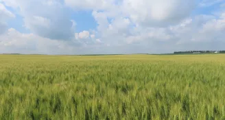 TEST: Understanding Today’s Land Market