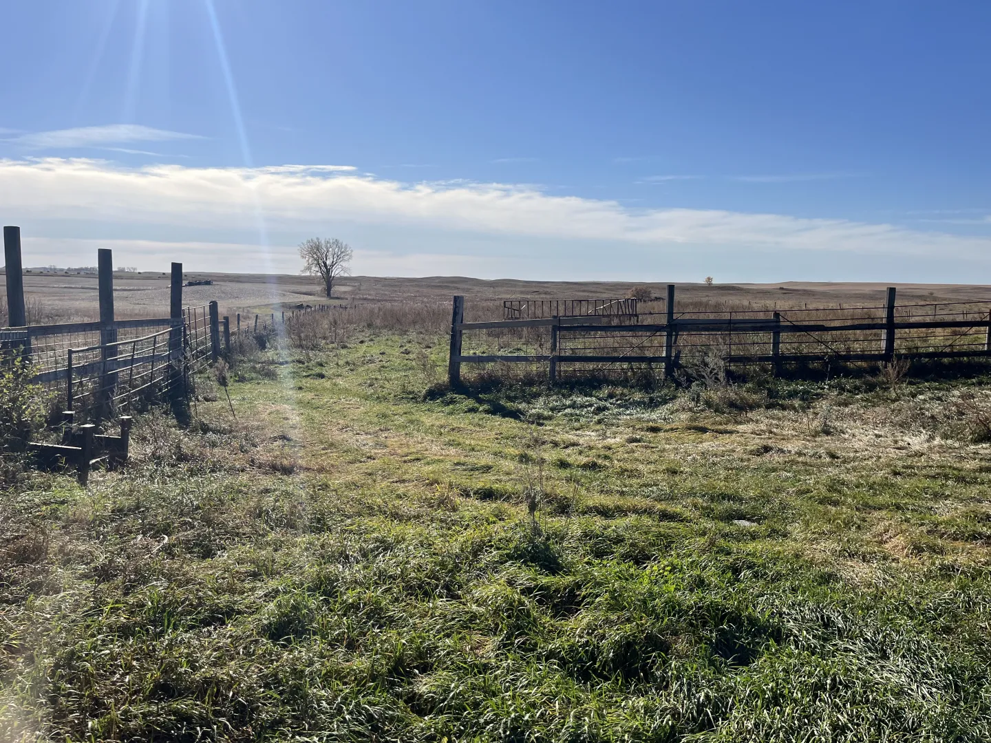 10 +/- Acre Farmstead - Goodrich, ND